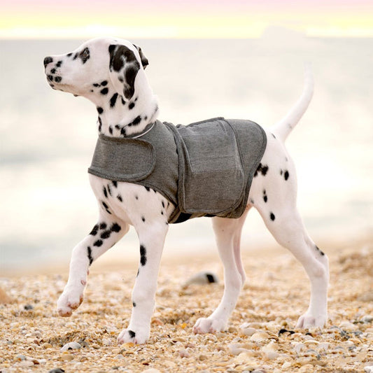 The LullPaw Steady Calm Anxiety Vest