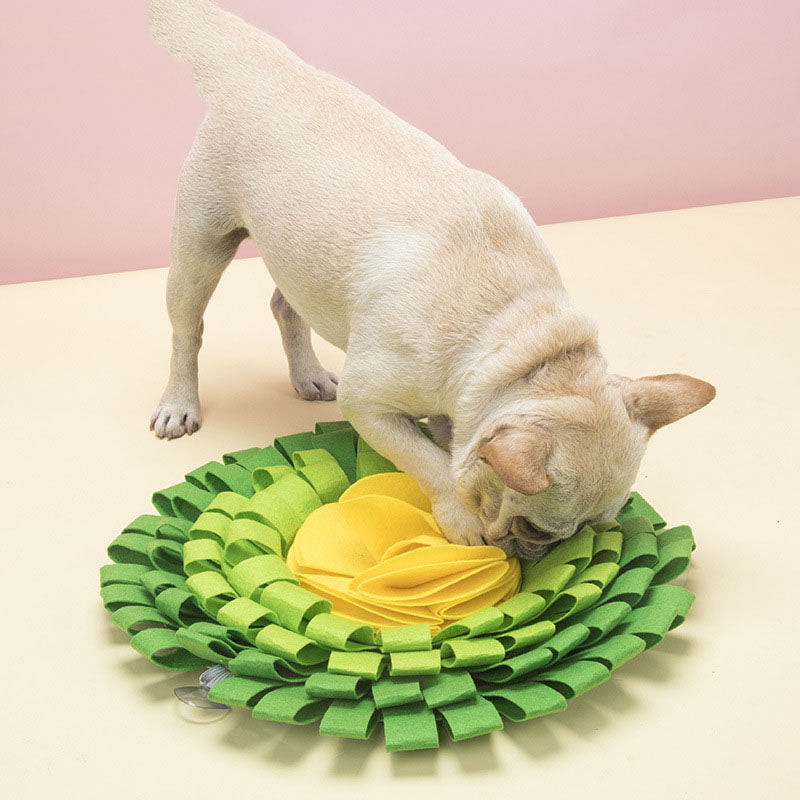 LullPaw Flower Sniff Ball