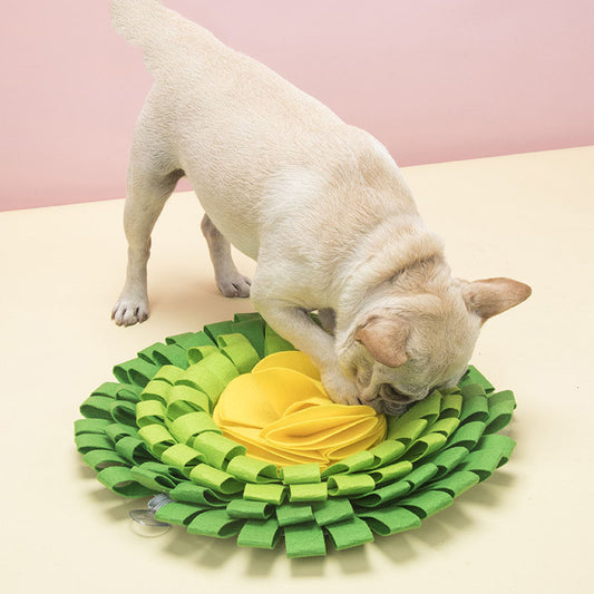 LullPaw Flower Sniff Ball
