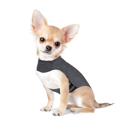 The LullPaw Steady Calm Anxiety Vest