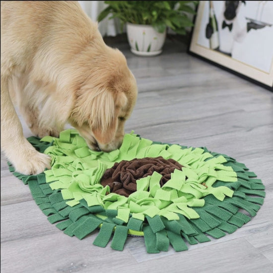 LullPaw snuffle mat in use — calming nosework session before walk